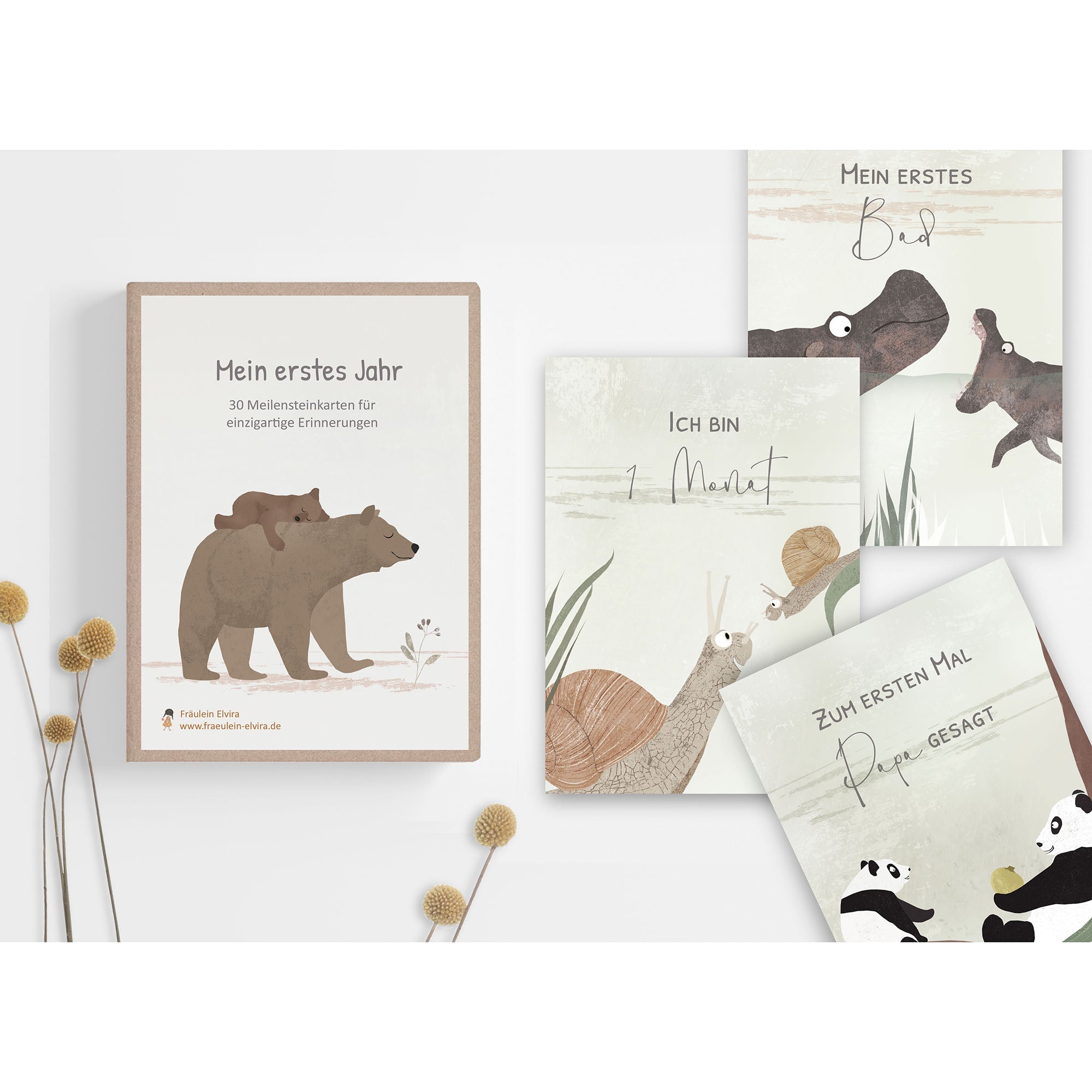 Meilensteinkarten Baby - "Mein erstes Jahr" Fräulein Elvira - malmichbunt.de