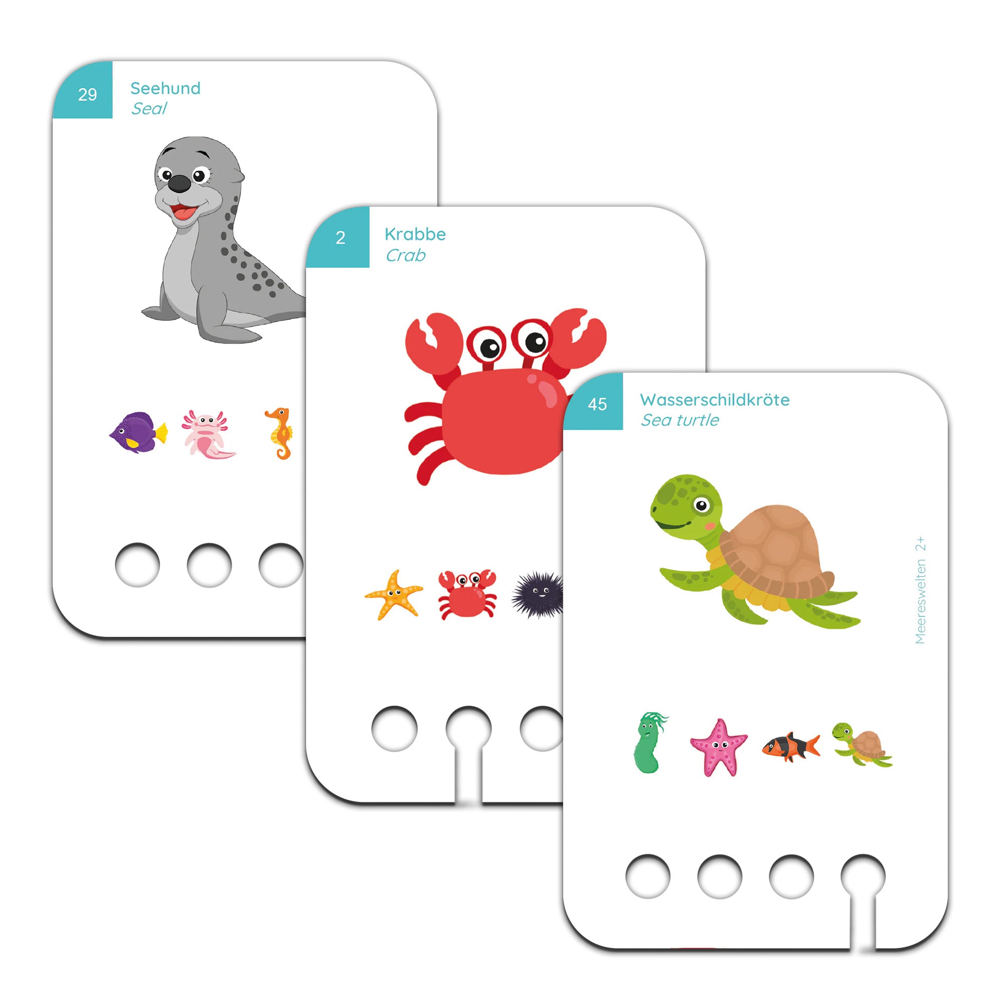 Wasserwelten - Übungen für den Lochkasten