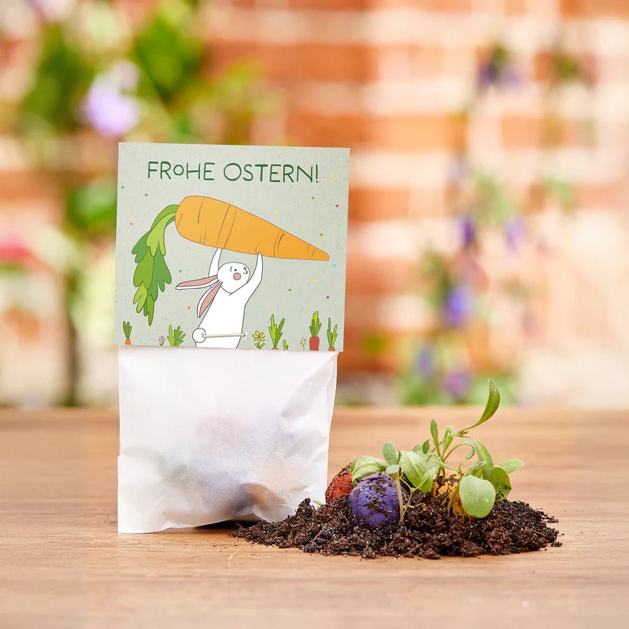 5 Blumenmurmeln im Tütchen – Hase mit Möhren Die Stadtgärtner - malmichbunt.de