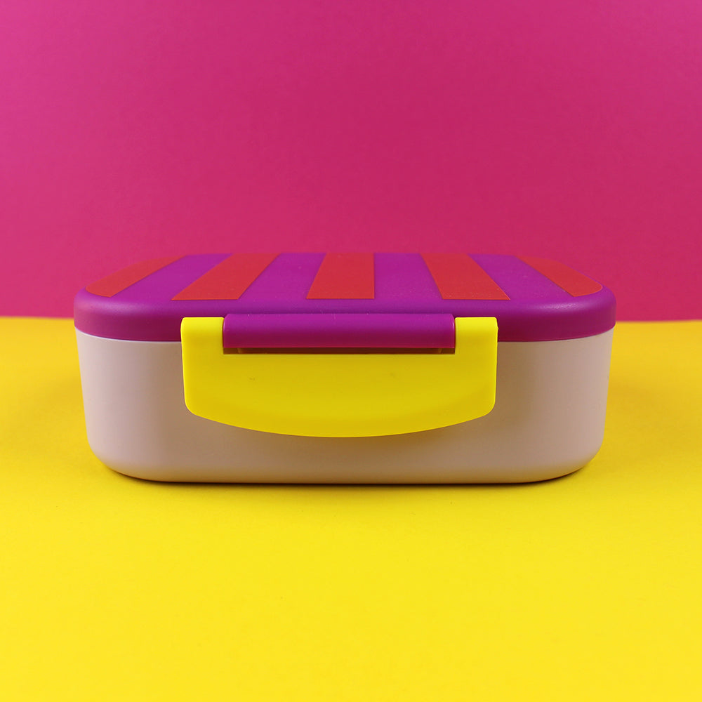 Brotdose/Lunchbox ,- violett/rot-flieder im Geschenkkarton