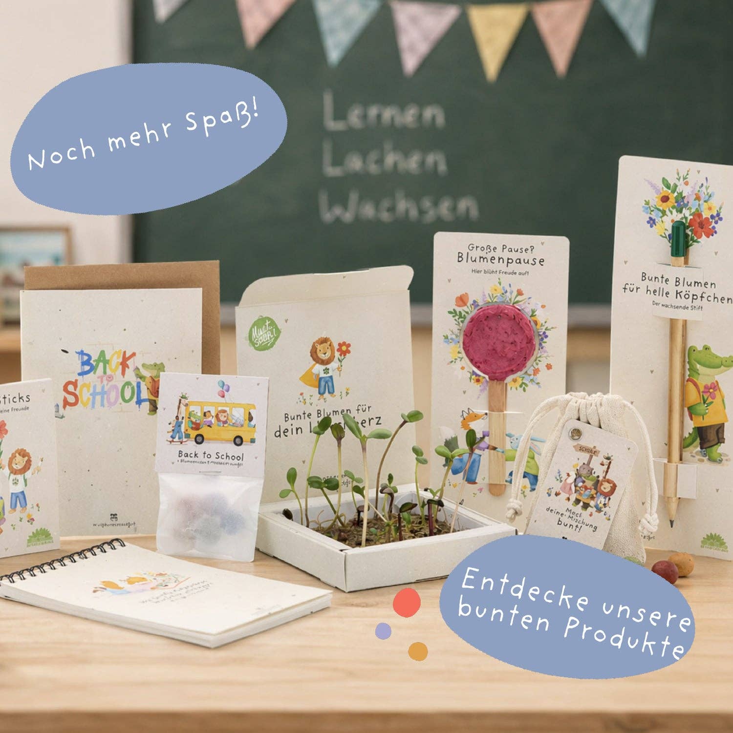 Back-to-School, Pflanzkästchen – Mutblumen TDJ Stadtgärtner GmbH - malmichbunt.de