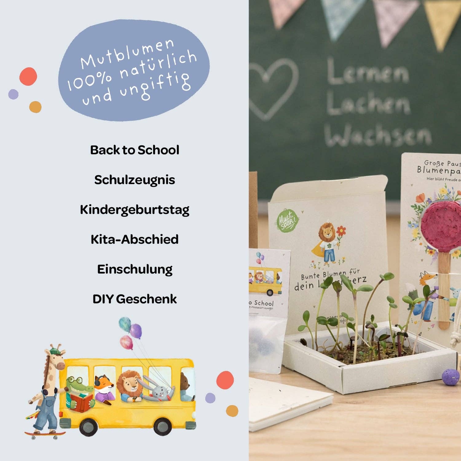 Back-to-School, Pflanzkästchen – Mutblumen TDJ Stadtgärtner GmbH - malmichbunt.de