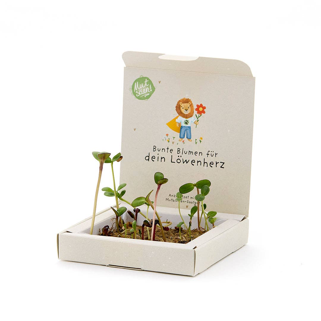 Back-to-School, Pflanzkästchen – Mutblumen TDJ Stadtgärtner GmbH - malmichbunt.de