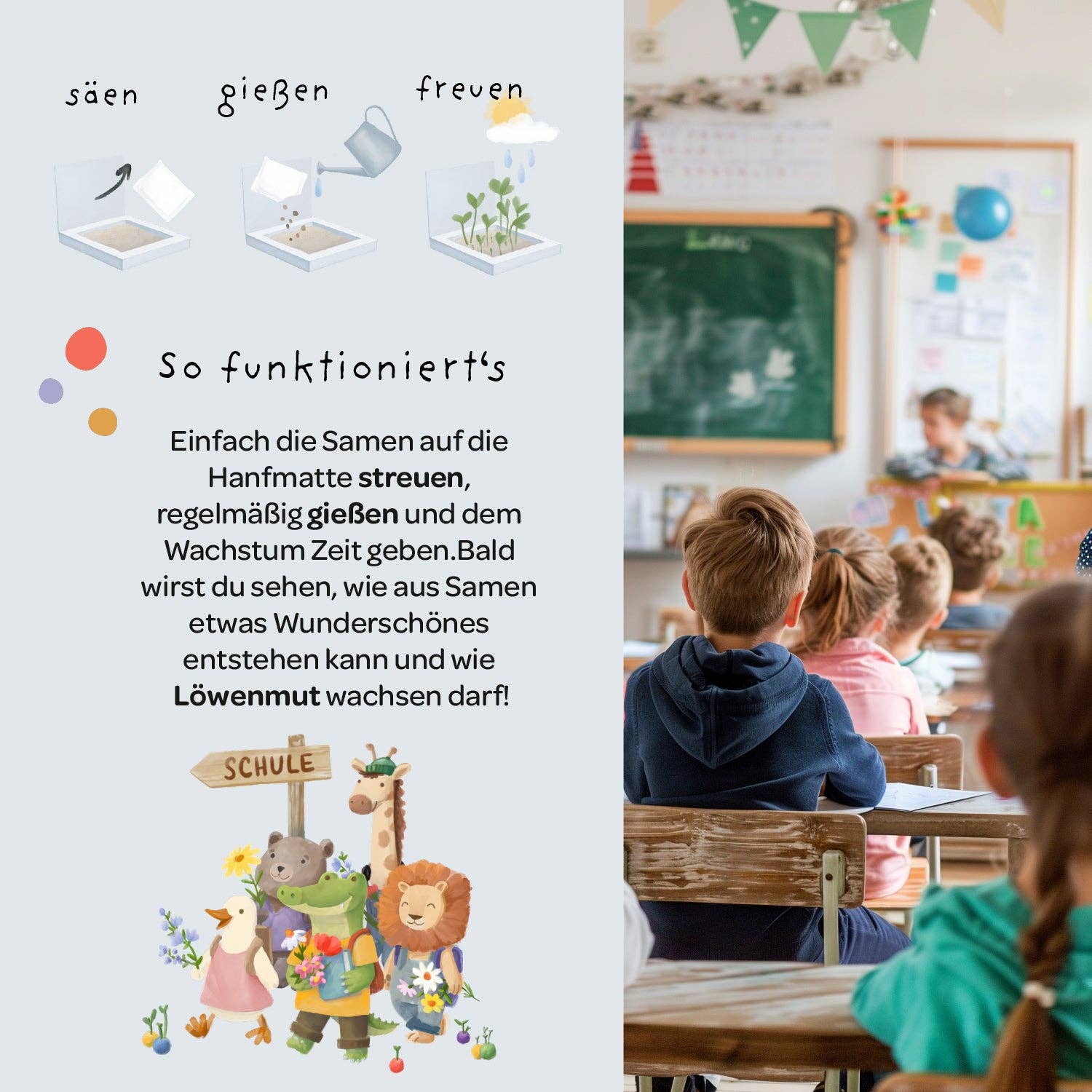 Back-to-School, Pflanzkästchen – Mutblumen TDJ Stadtgärtner GmbH - malmichbunt.de