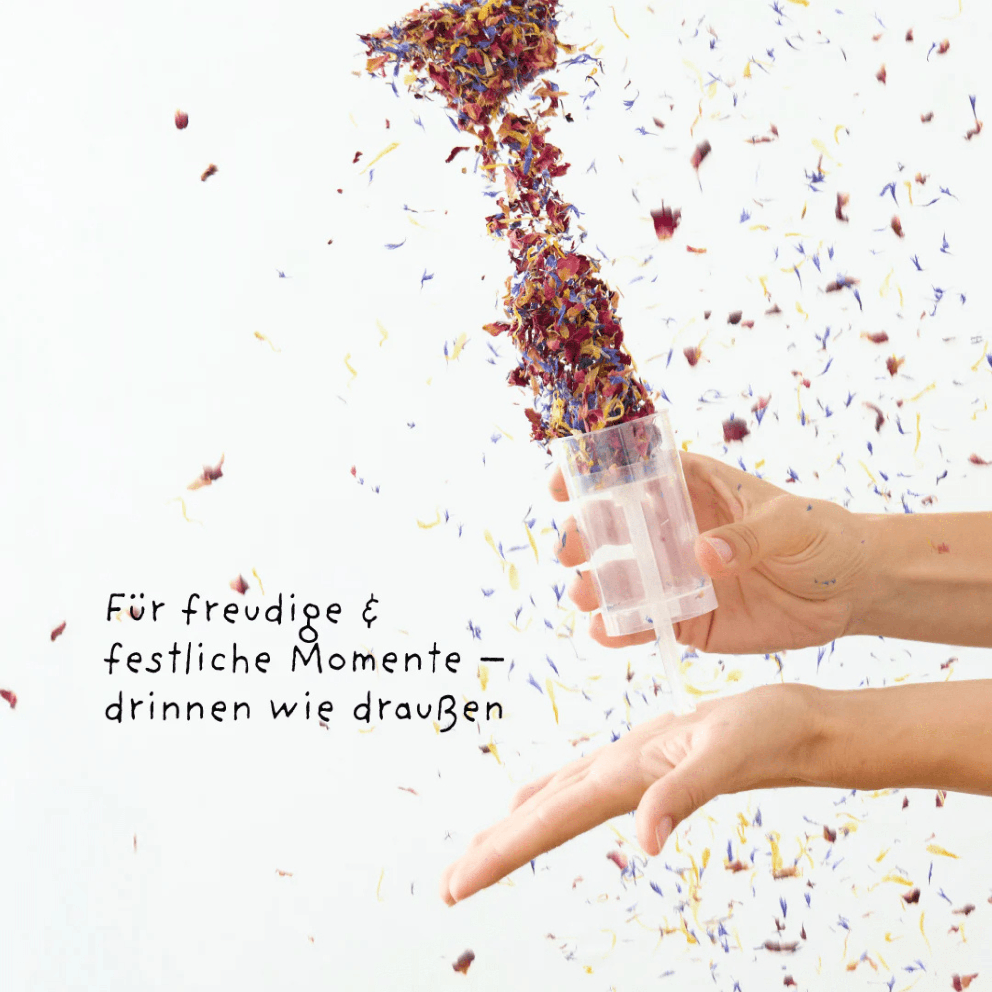 Die Stadtgärtner Blütenkonfetti im Popper - Yay! Die Stadtgärtner - malmichbunt.de