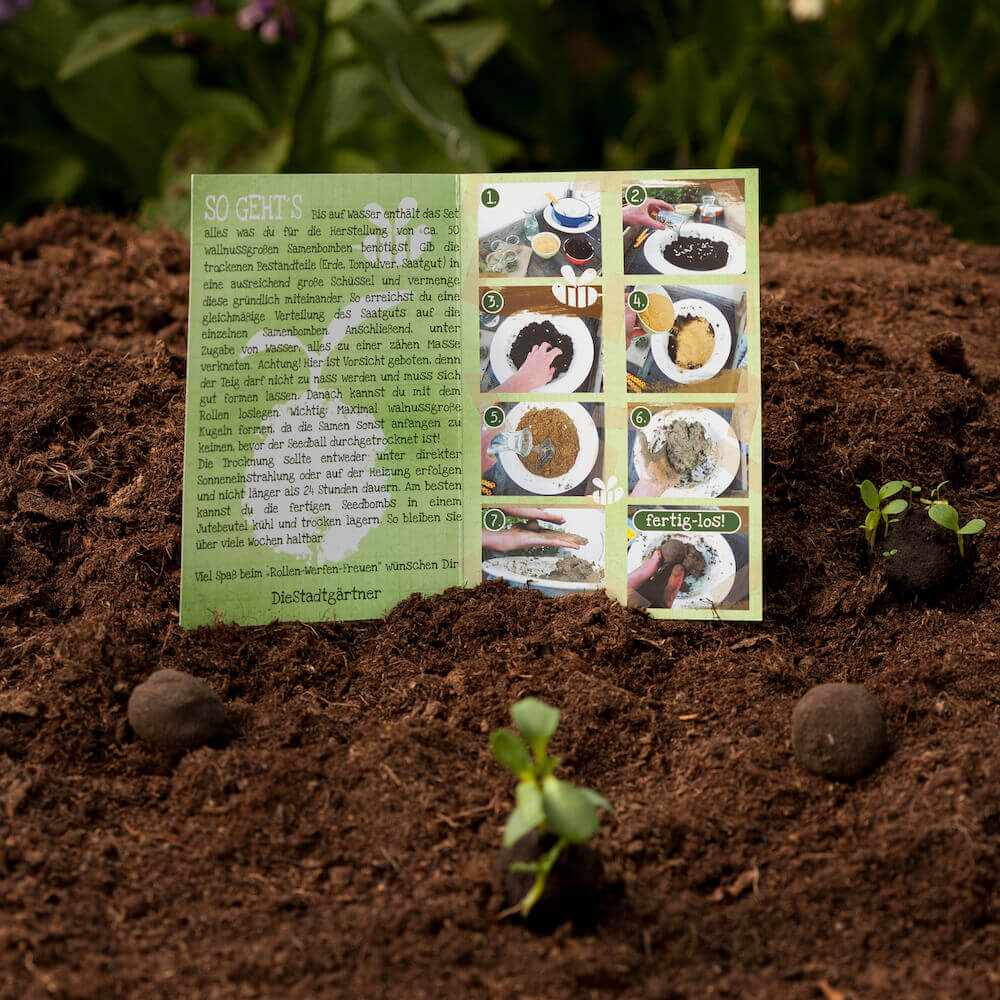 DIY Samenbomben Bausatz Die Stadtgärtner - malmichbunt.de
