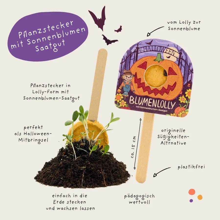 Halloween - Blumenlolly - Sonnenblume TDJ Stadtgärtner GmbH - malmichbunt.de