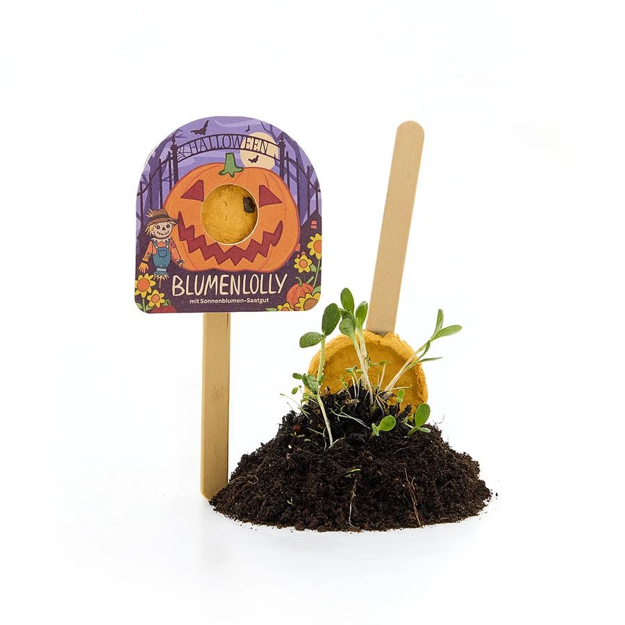 Halloween - Blumenlolly - Sonnenblume TDJ Stadtgärtner GmbH - malmichbunt.de