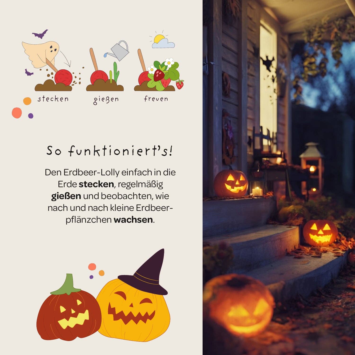 Halloween - Erdbeerlolly - Erdbeere TDJ Stadtgärtner GmbH - malmichbunt.de
