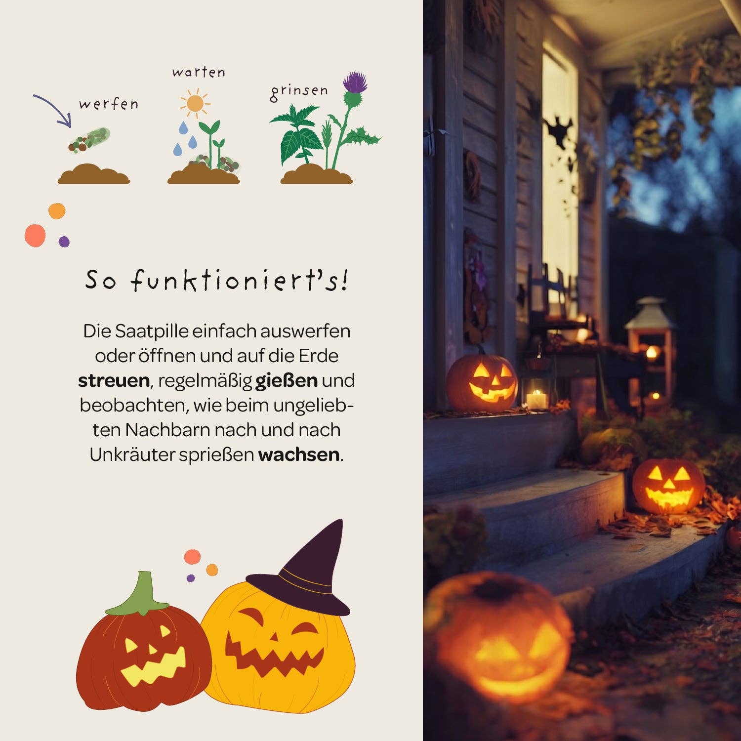 Halloween Saatpille "Süßes oder Saures" - Saures TDJ Stadtgärtner GmbH - malmichbunt.de
