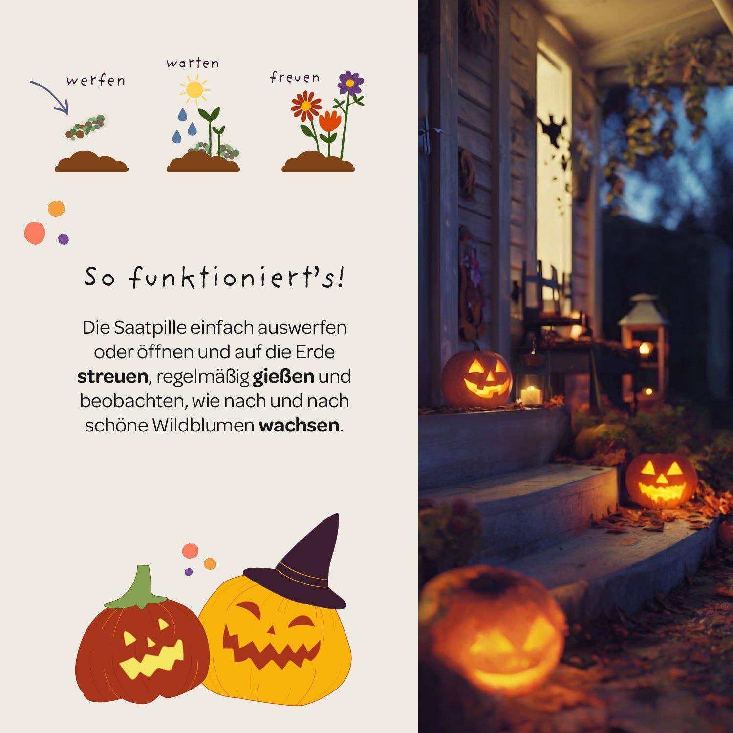 Halloween Saatpille "Süßes oder Saures" - Süßes TDJ Stadtgärtner GmbH - malmichbunt.de