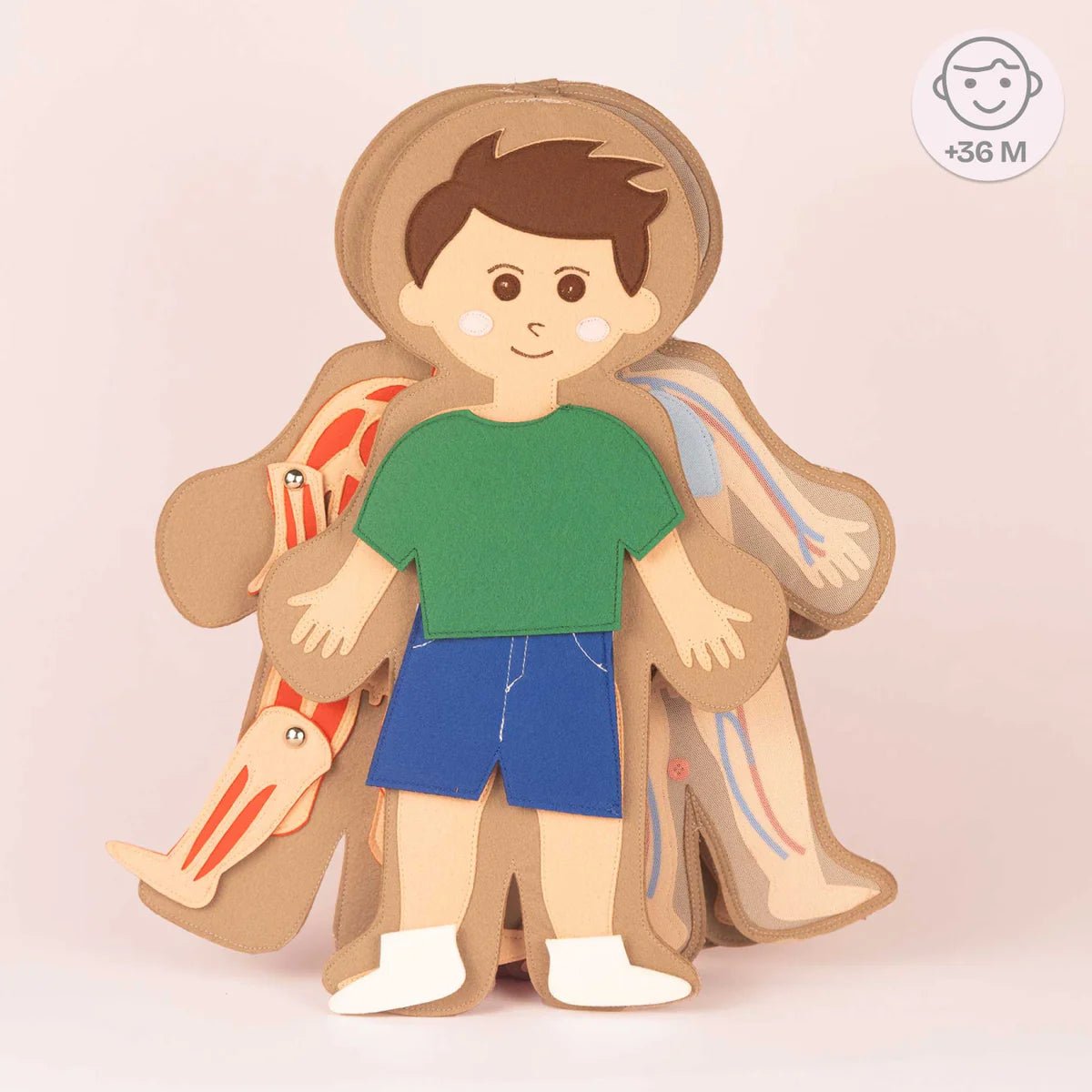 Jolly Designs Travel Buddy Mein Körper - Jungen Jolly Designs - malmichbunt.de