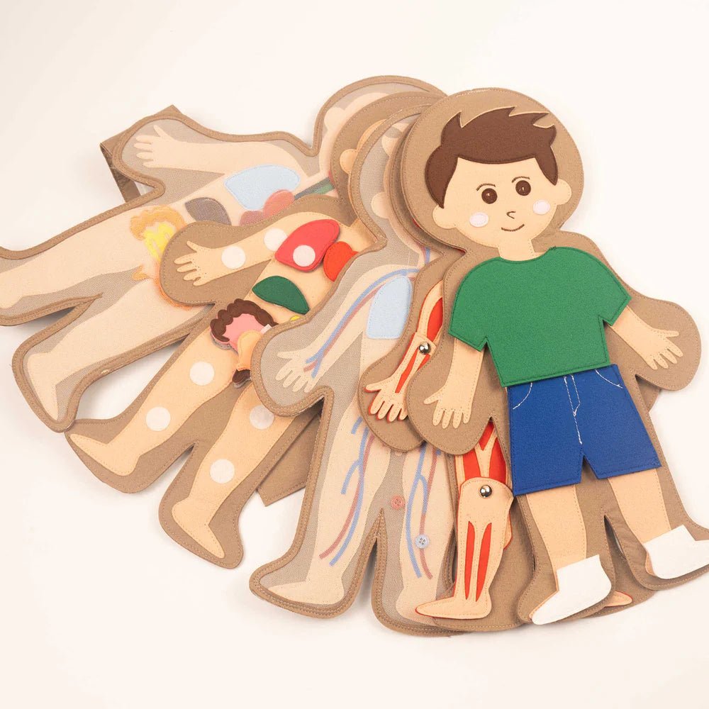 Jolly Designs Travel Buddy Mein Körper - Jungen Jolly Designs - malmichbunt.de