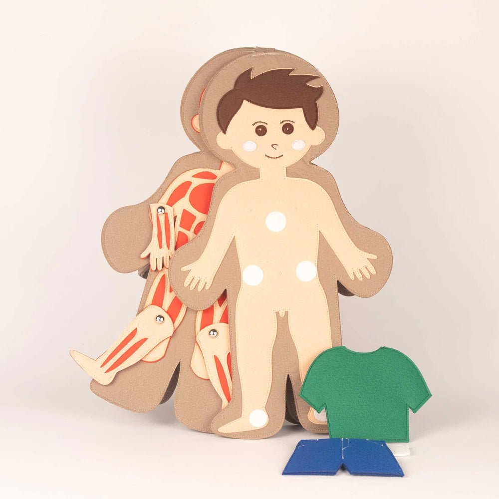 Jolly Designs Travel Buddy Mein Körper - Jungen Jolly Designs - malmichbunt.de