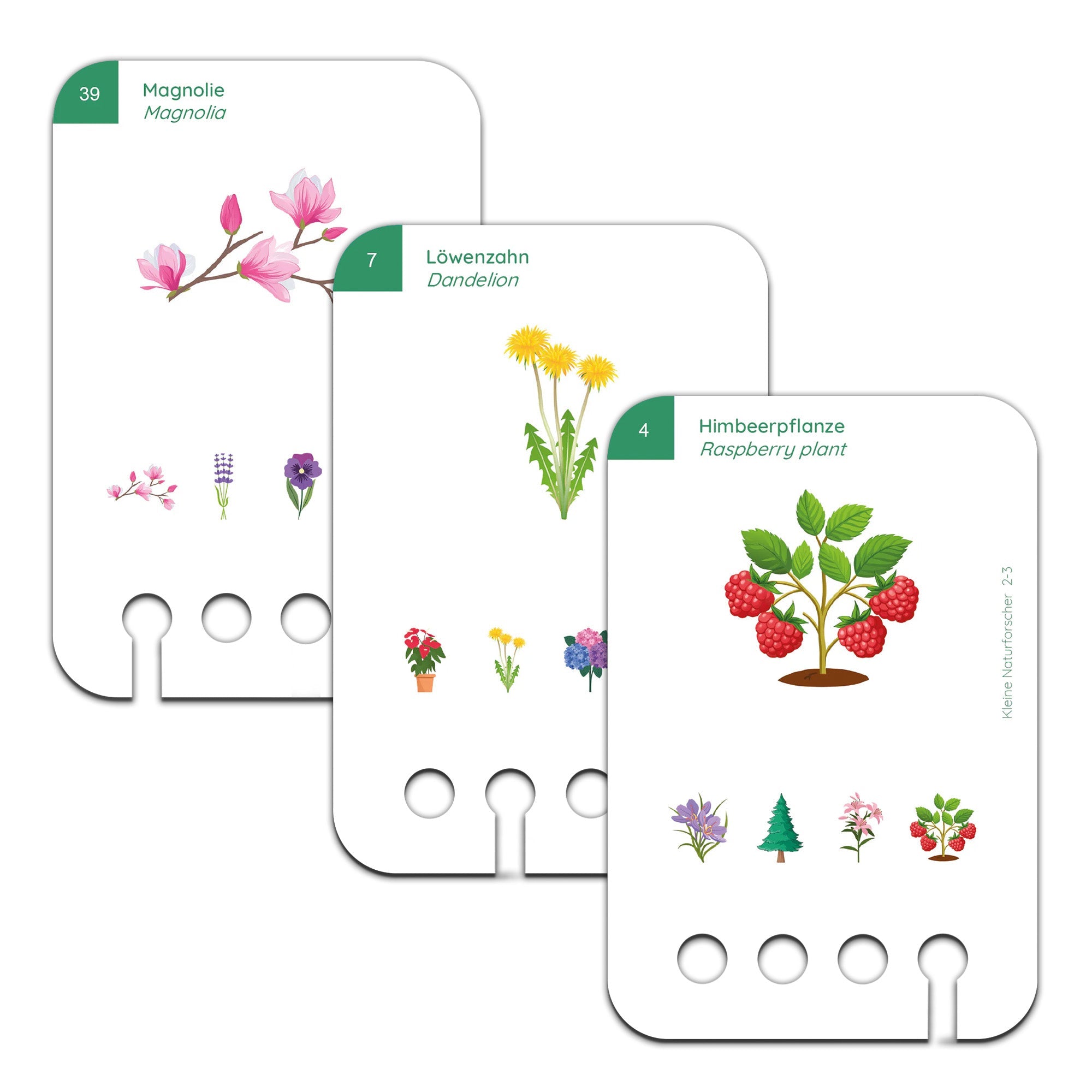 Kleine Naturforscher - Übungen für den Lochkasten Lernspielverlag - malmichbunt.de