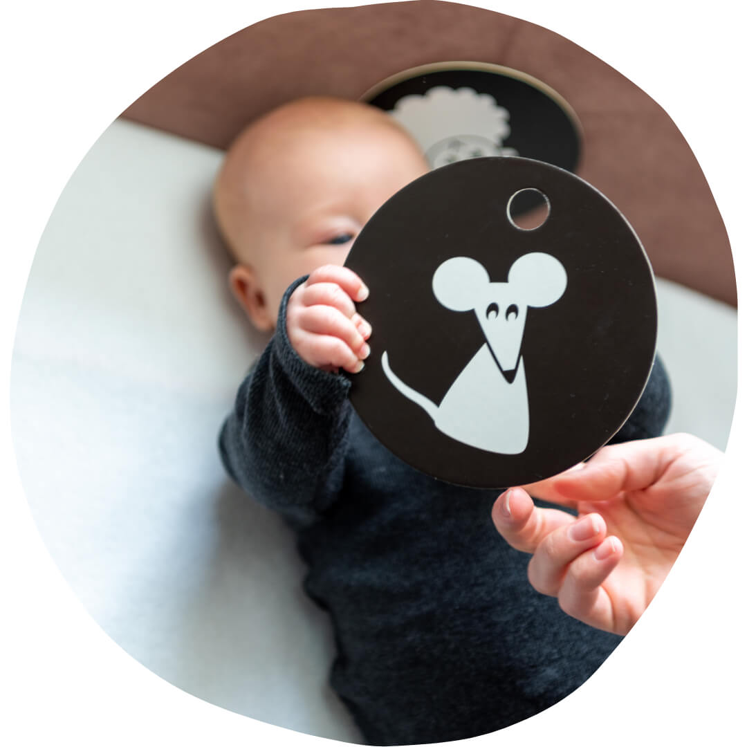 Kontrastkarten ab 3 Monate HANNIline - malmichbunt.de