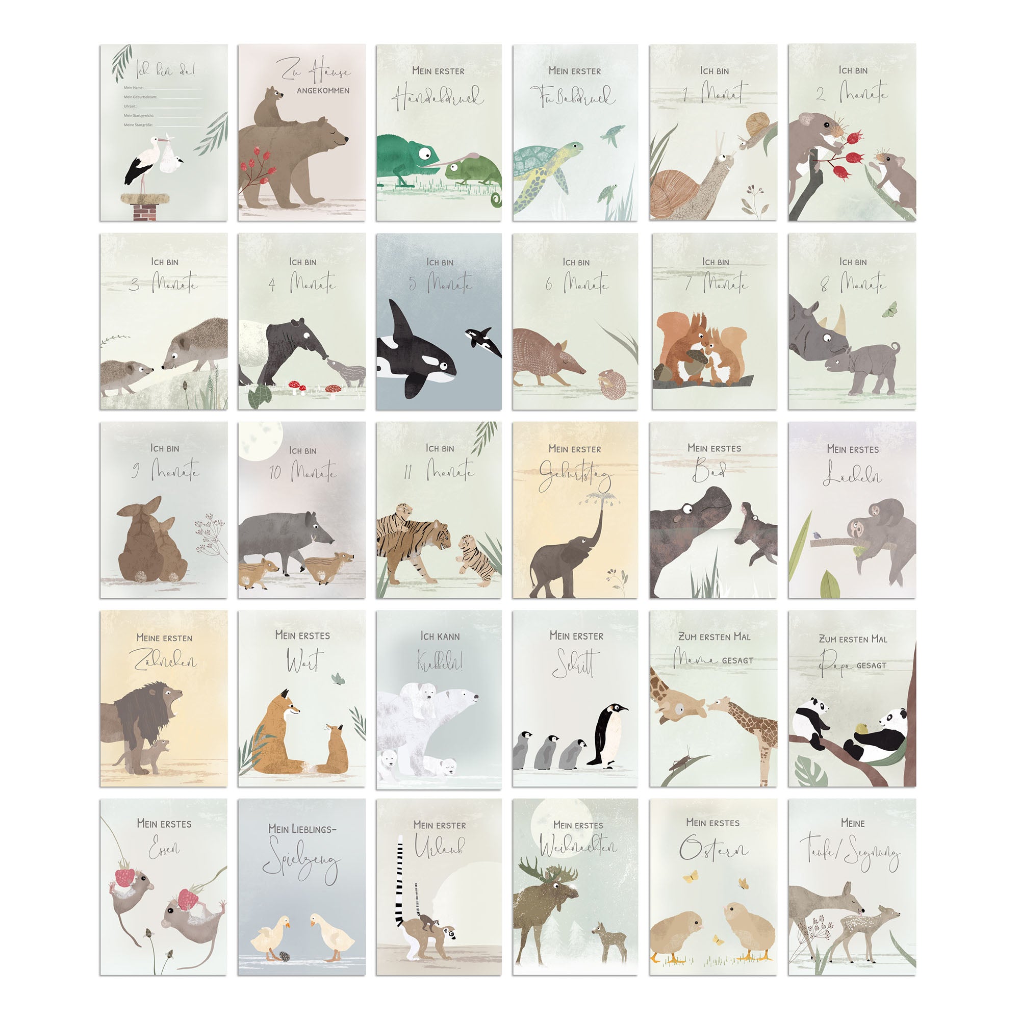Meilensteinkarten Baby - "Mein erstes Jahr" Fräulein Elvira - malmichbunt.de