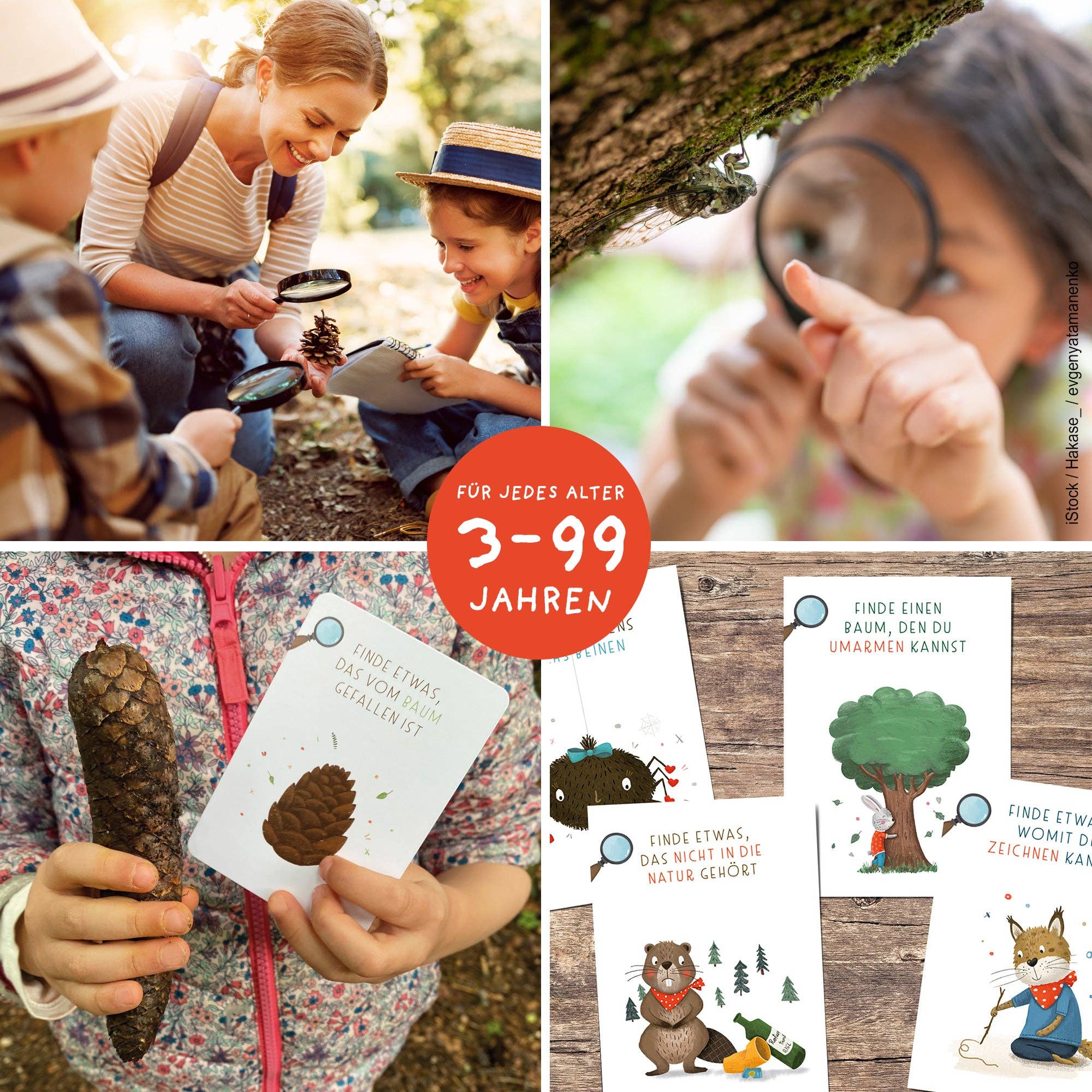 Suchen & Finden – Entdeckerkarten für Kinder Rüsselfuchs - malmichbunt.de