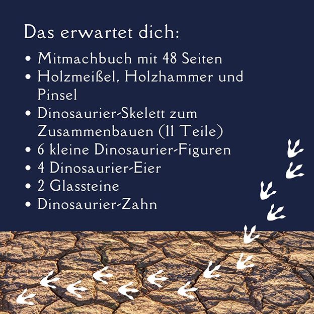 Topp Verlag Ausgrabungsadventskalender - Dinosaurier