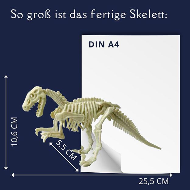 Topp Verlag Ausgrabungsadventskalender - Dinosaurier