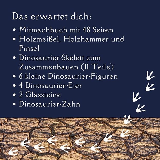 Topp Verlag Ausgrabungsadventskalender - Dinosaurier TOPP Verlag - malmichbunt.de